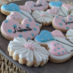 Pull imprimé colibri