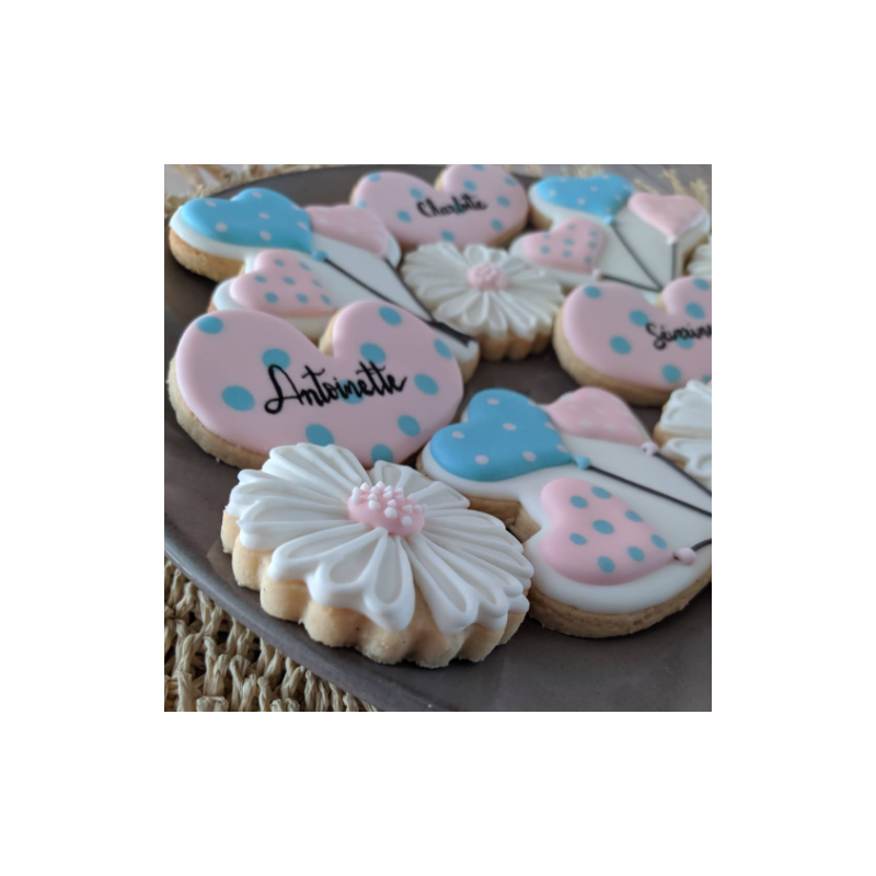 Pull imprimé colibri